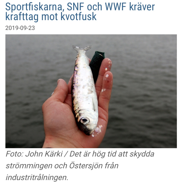 Nyhet: Sportfiskarna, SNF och WWF kräver krafttag mot kvotfusk