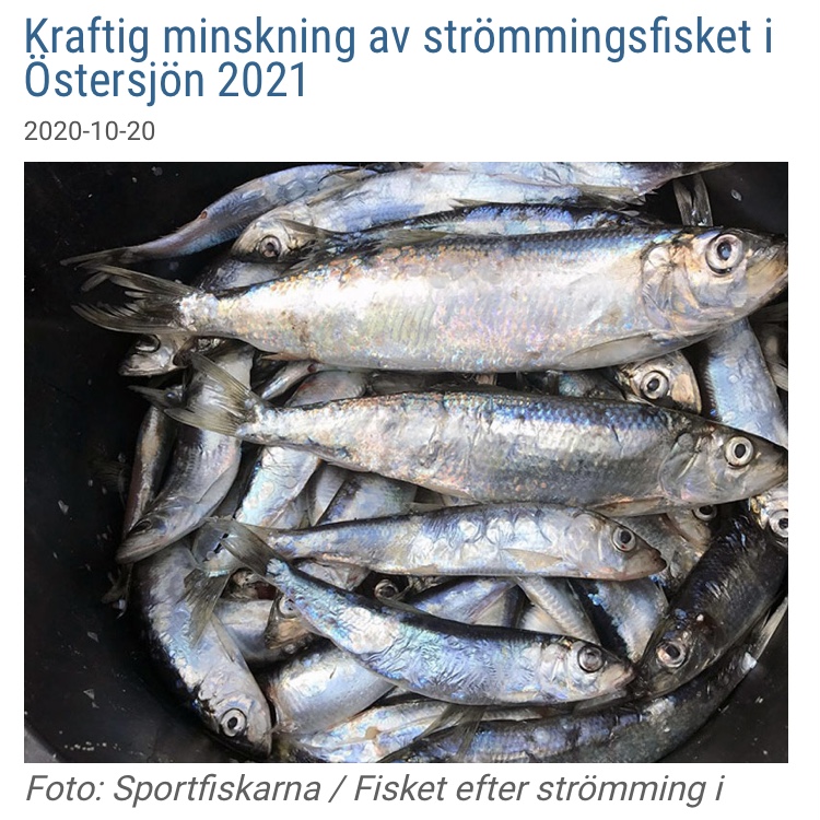 Nyhet: Konstruktivt möte med landsbygdsministern