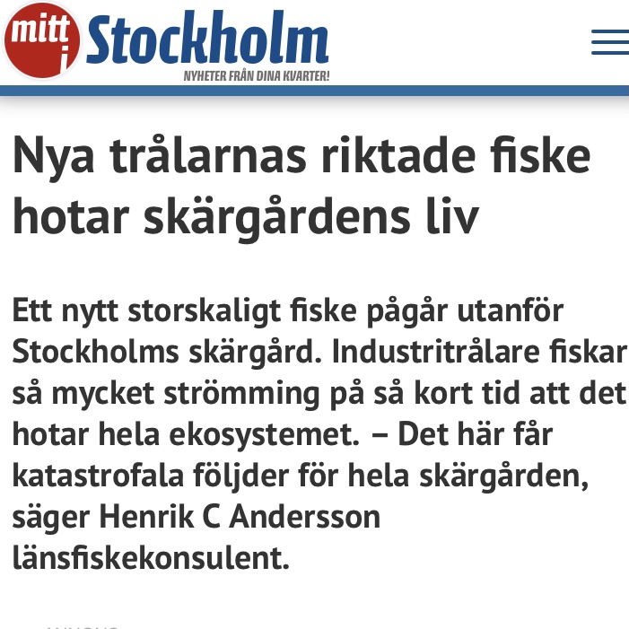 Nyhet: Strömmingen är vår gemensamma resurs