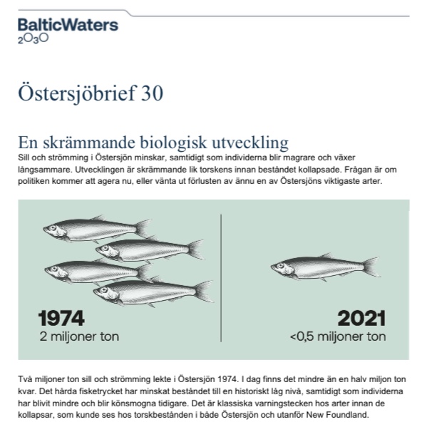 BalticWater 2030: Östersjöbrief 30
