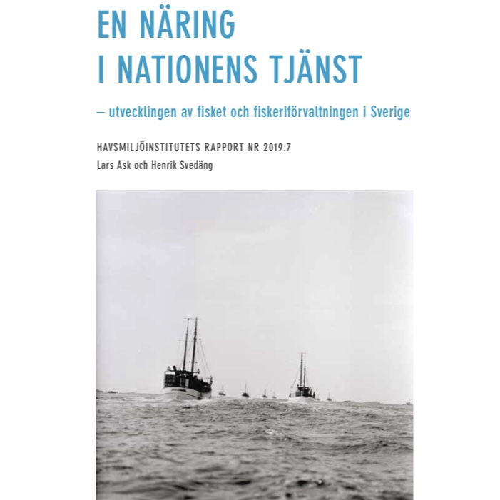 Rapport Havsmiljöinstitutet: En näring i nationens tjänst