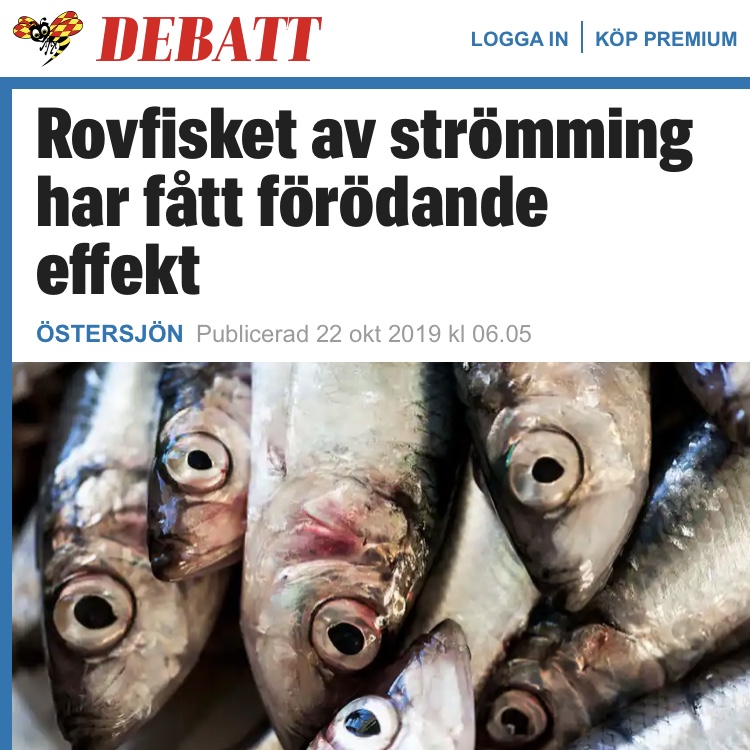 Expressen debatt: Rovfisket av strömming har fått förödande effekt