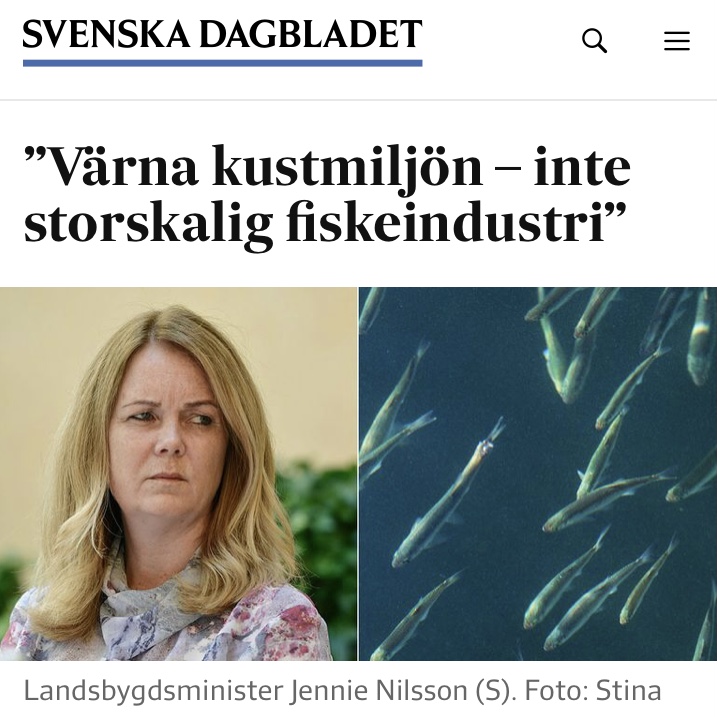 SVD- Värna kustmiljön- inte storskalig fiskeindustri