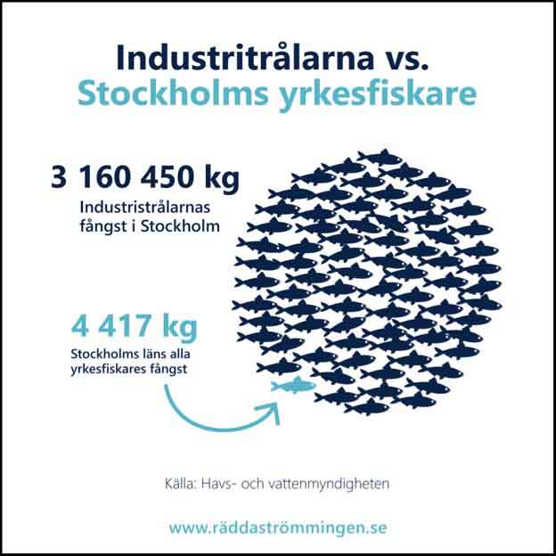 Industritrålare vs kustfiskare