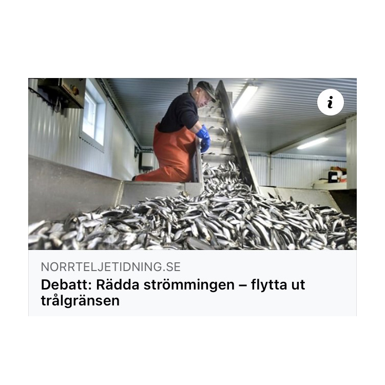 BalticWater 2030: Östersjöbrief 31
