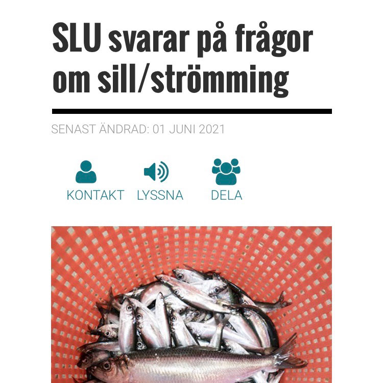 SLU svarar på frågor om sill/strömming