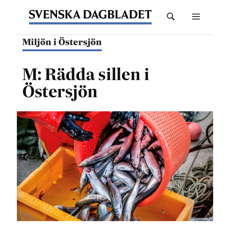 SVD debatt: Rädda sillen i Östersjön